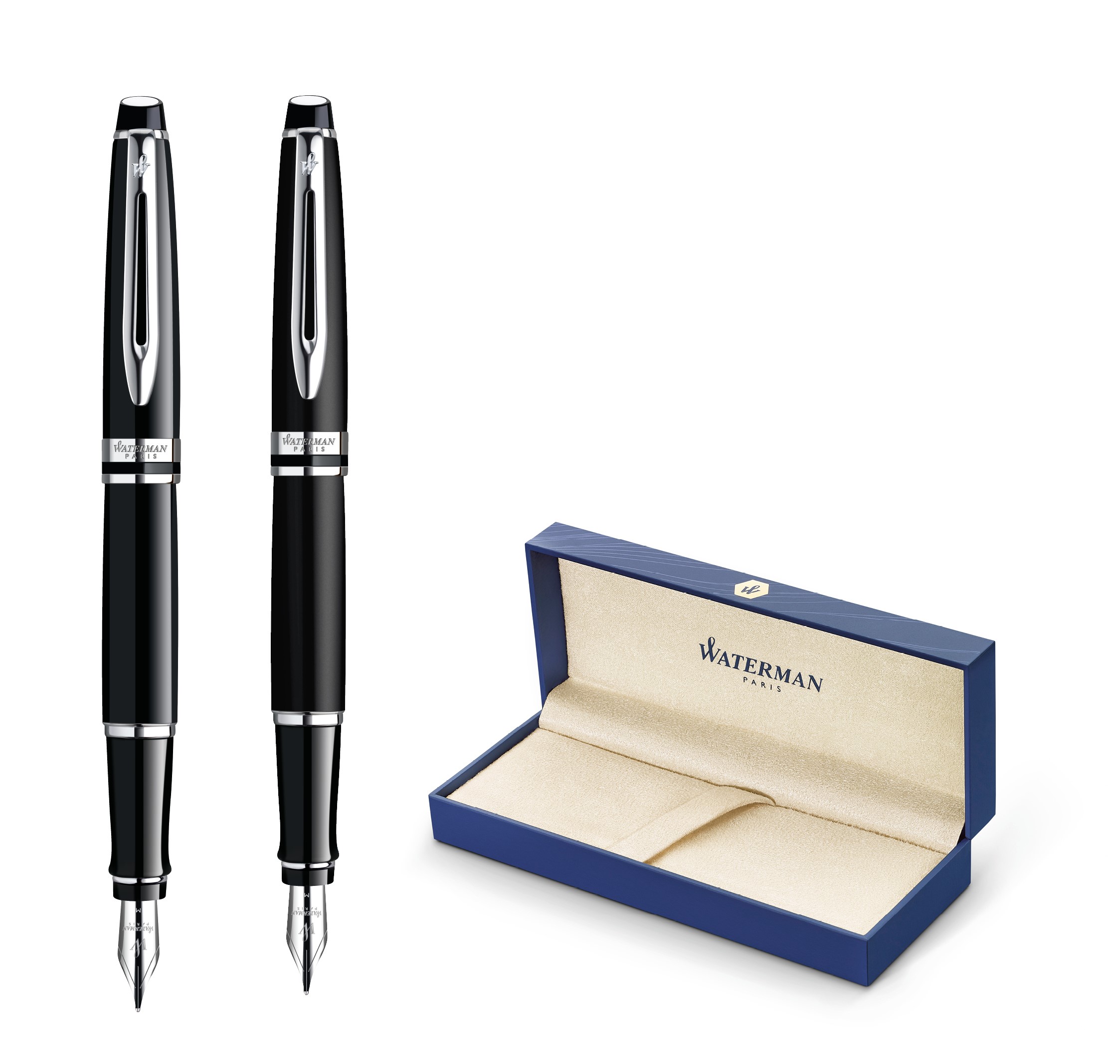 WATERMAN EXPERT CT Füllfederhalter