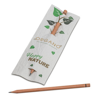 Bleistift im Samenpapieretui - Margerite, Druck 4/4c, Lasergravur
