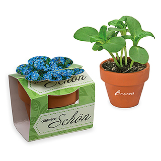 Tontöpfchen-Blume mit Samen - Vergissmeinnicht inkl. Tampondruck
