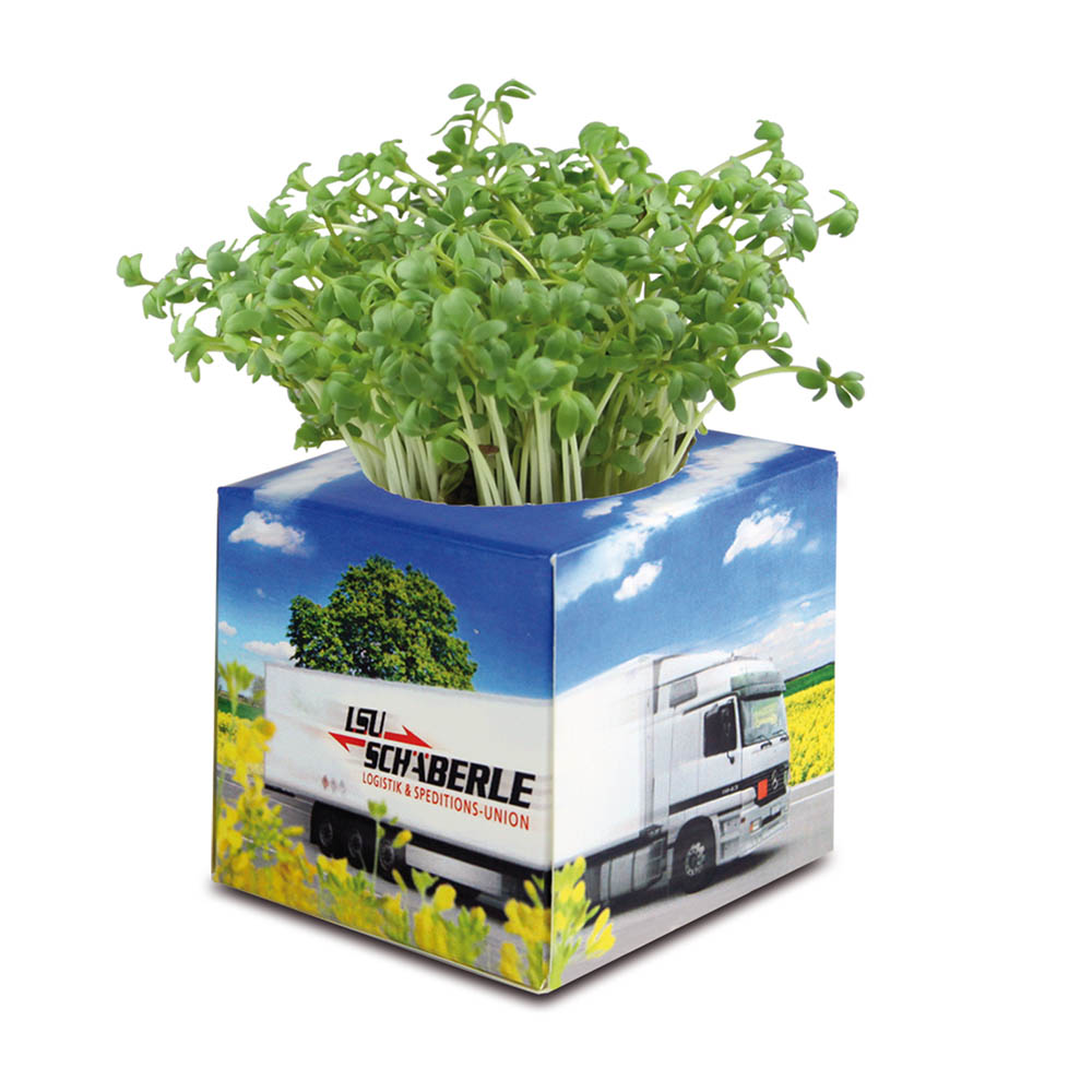 Pflanz-Würfel 2.0 mit Samen - Gartenkresse