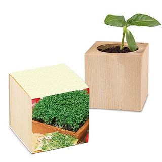 Pflanz-Holz mit Samen (Graspapier-Banderole) - Gartenkresse, 2 Seiten gelasert
