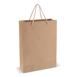 Geschenktüte aus Papier 120g/m² 24x12x33cm