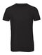 BCTM055 Triblend T-Shirt /Men