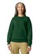 Softstyle® Midweight Fleece Adult Crewneck Sweatshirt