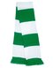 Team Scarf